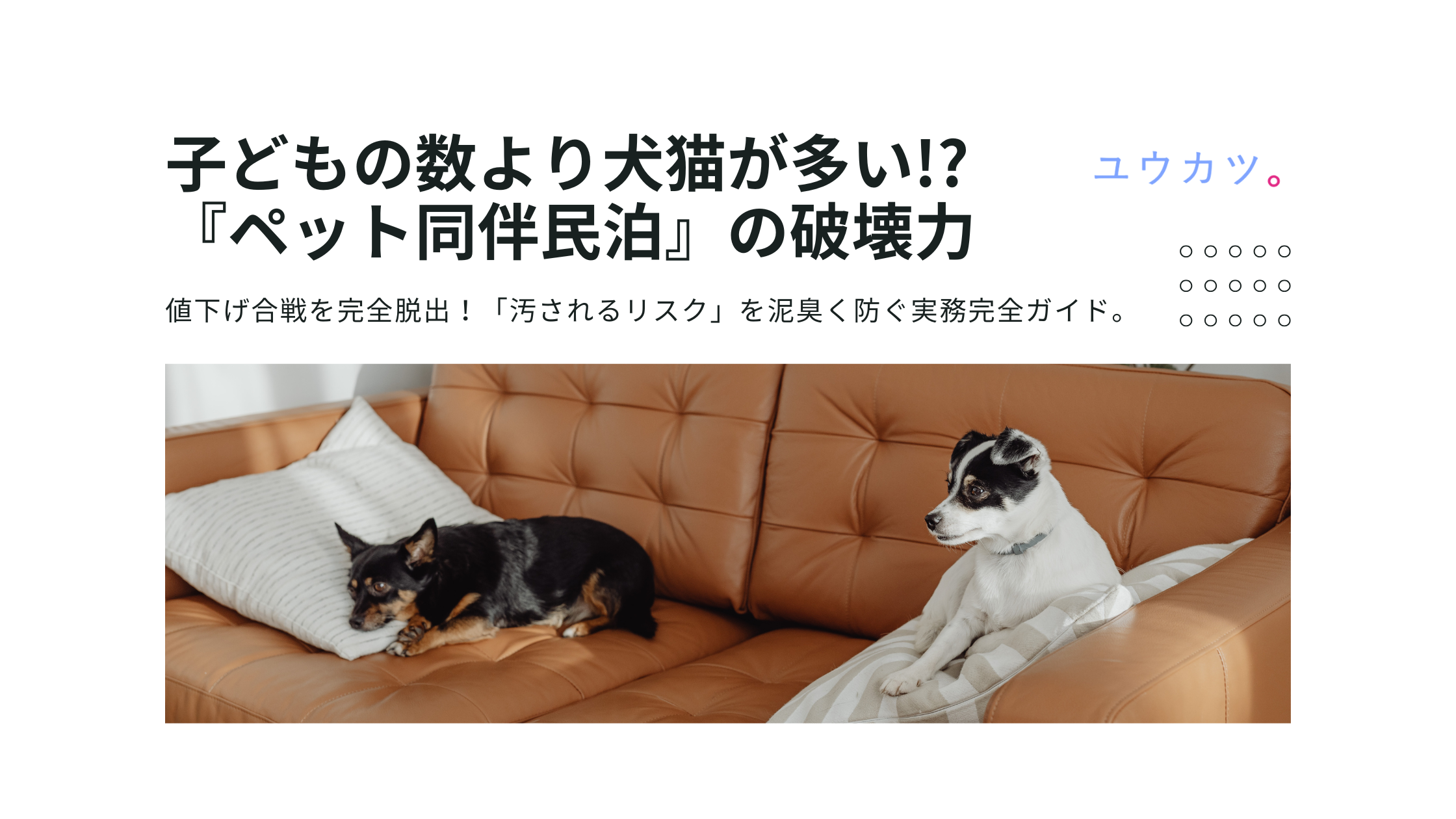 価格競争を完全脱出！『ペット同伴民泊』という超ブルーオーシャン戦略と汚されるリスクを泥臭く防ぐ実務完全ガイド