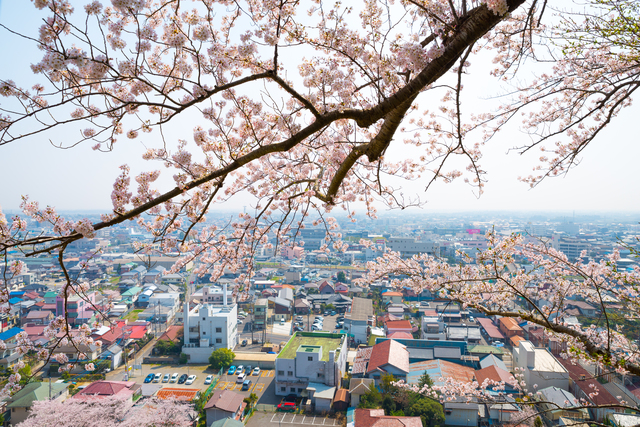 東金市菱沼戸建
